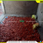 432783111_843642804444066_4748280371640716174_n